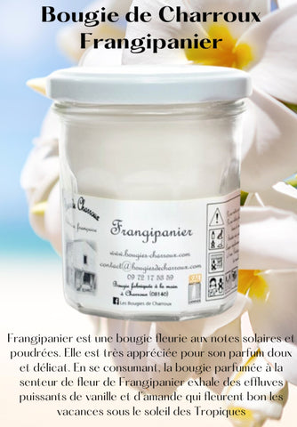 Bougie parfumée FRANGIPANIER